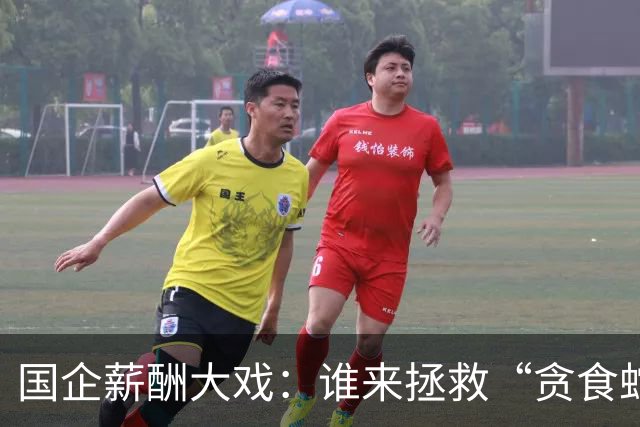 国企薪酬大戏：谁来拯救“贪食蛇”？