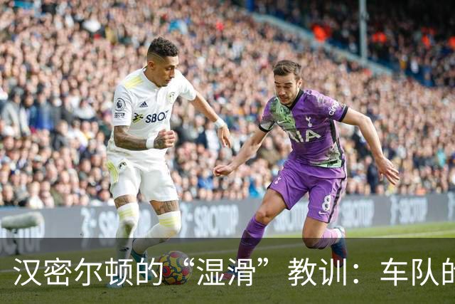汉密尔顿的“湿滑”教训：车队的麻烦真不是谁的锅
